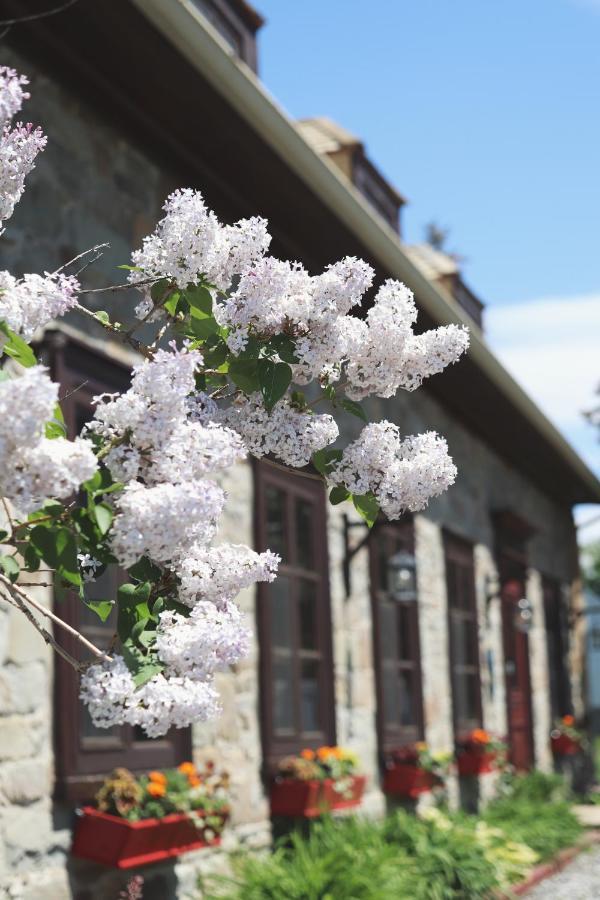 Domaine Steinbach Cidrerie B&B Distillerie St-Pierre-de-l'Île-d'Orléans Buitenkant foto
